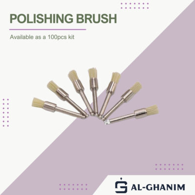 Polishing brush 100pcs